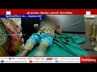 வெறி நாயிடம் சிக்கிய 20 பேர் காயம்