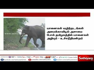 தமிழகத்தில் யானைகள் வழித்தடத்தை கண்டிப்பாக அமைக்க வேணடும் - உச்சநீதின்றம் உத்தரவு
