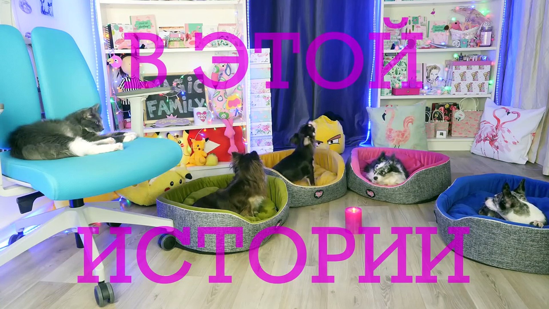 ⁣ОСТАЛИСЬ ОДНИ ДОМА НОЧЬЮ! СТРАШНЫЕ ИСТОРИИ НА НОЧЬ ОТ ВОЛШЕБНЫХ ПИТОМЦЕВ