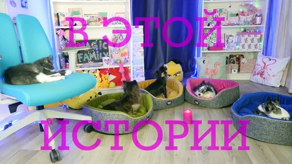 ОСТАЛИСЬ ОДНИ ДОМА НОЧЬЮ! СТРАШНЫЕ ИСТОРИИ НА НОЧЬ ОТ ВОЛШЕБНЫХ ПИТОМЦЕВ