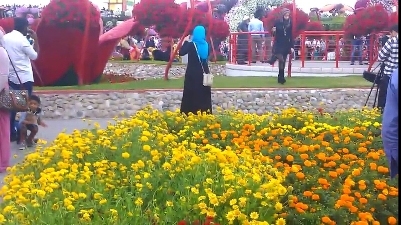 Dubai_Miracle_Garden_Now