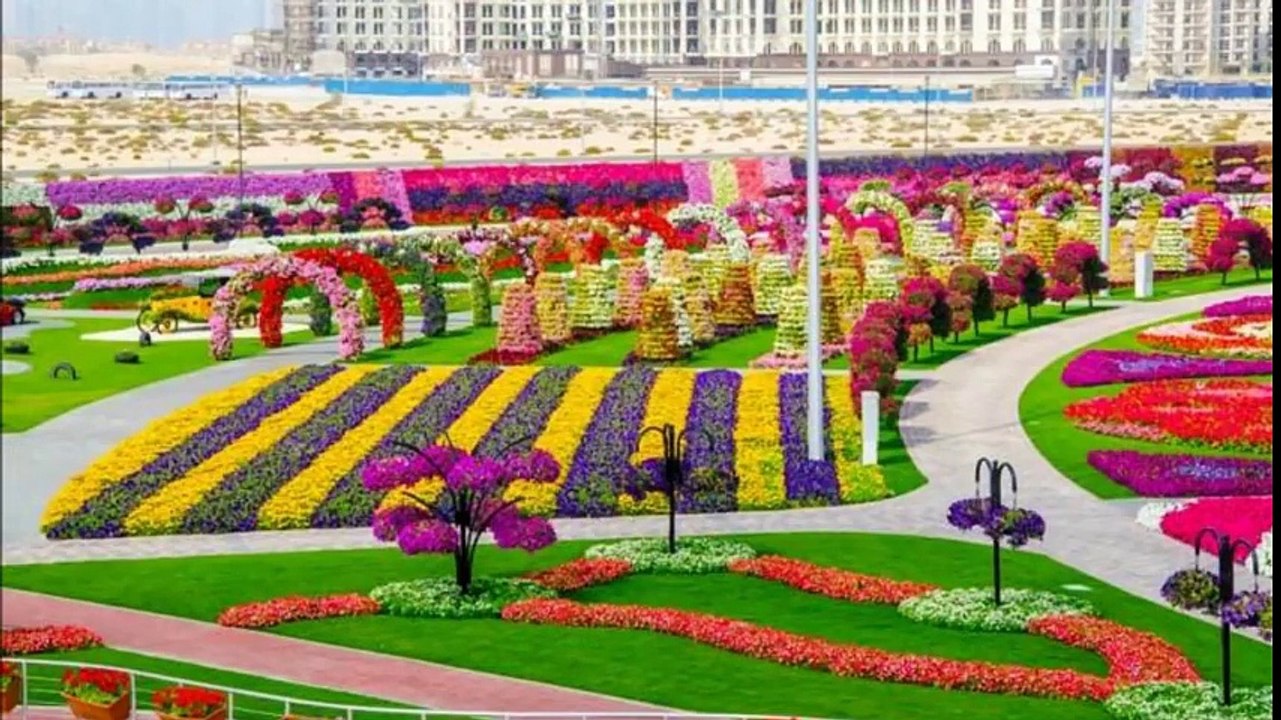 Dubai_Miracle_Garden_2016