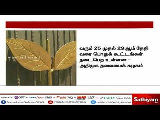 காவிரி விவகாரம் - அதிமுக சார்பில் பொதுக் கூட்டங்கள் நடைபெறும்