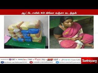 40 கிலோ கஞ்சா கடத்திய பெண் கைது