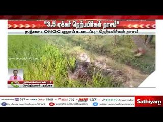 தஞ்சை : ONGC குழாய் உடைப்பு நெற்பயிர்கள் நாசம்