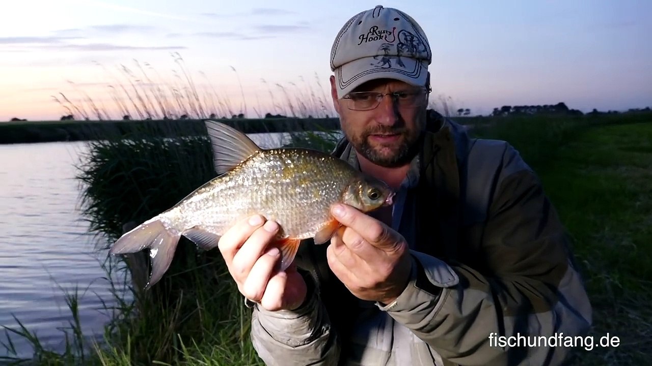 Matze Koch - Aal am Kanal - Matzes Mätzchen 07-2018