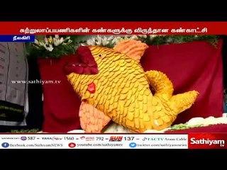 நீலகிரியில் கோடை காலத்தை முன்னிட்டு,10வது காய்கறி கண்காட்சி தொடங்கியது