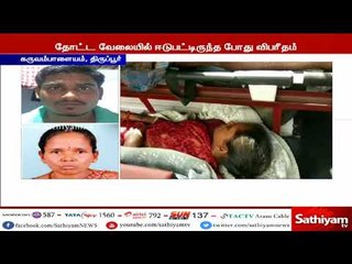 Tải video: தோட்ட வேலையில் ஈடுபட்டிருந்தவர்கள் மீது மின்சாரம் தாக்கி இரண்டு பேர் பரிதாபமாக உயிரிழந்தனர்