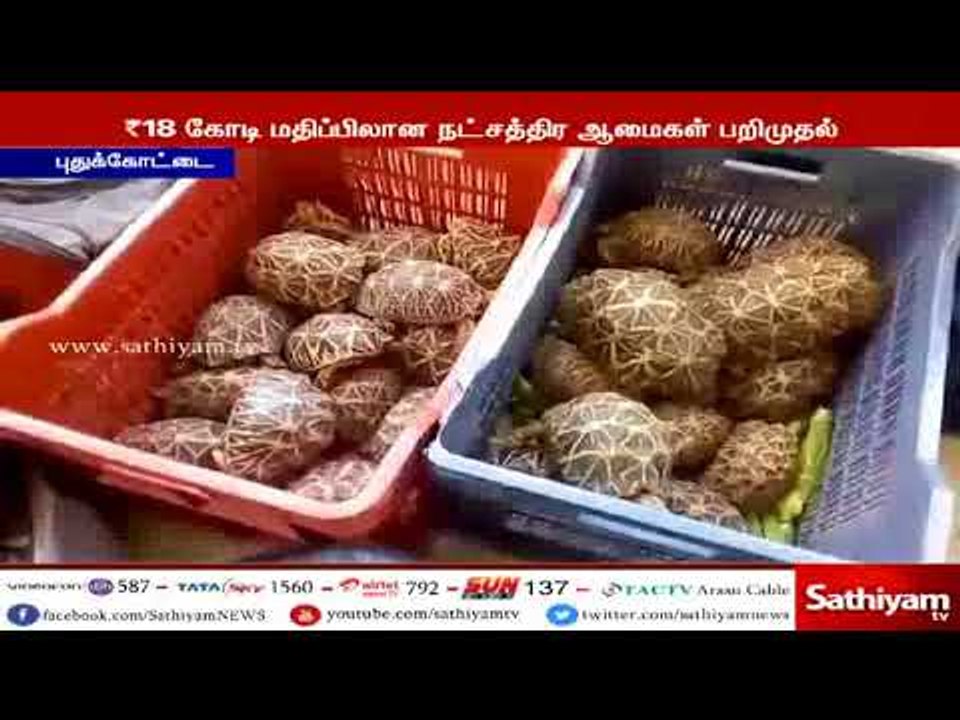 ஆந்திராவில் இருந்து கடத்தி வரப்பட்ட 18 கோடி ரூபாய் மதிப்பிலான நட்சத்திர ஆமைகள் பறிமுதல்