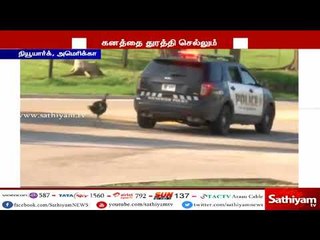 போலீஸ் வாகனத்தை துரத்தி சென்ற வான்கோழி