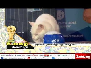 உலக கோப்பையில் ரஷ்ய அணி வெற்றி பெரும் - அசிலிஷ் பூனை கணிப்பு