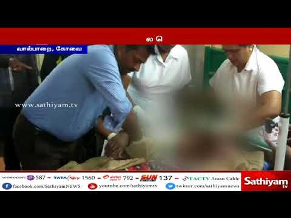 கோவை- உயிர்ப் பலி வாங்கிய சிறுத்தையை பிடிக்கக்கோரி தொழிலாளர்களின் போராட்டம் தற்காலிகமாக வாபஸ்