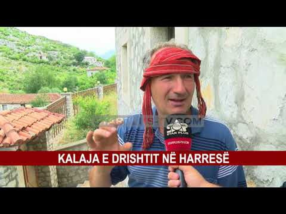 KALAJA E DRISHTIT NË HARRESË