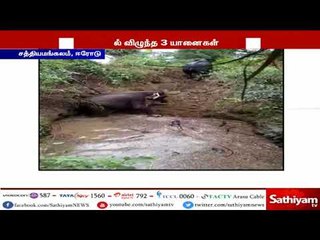 கிணற்றில் தவறி விழுந்த காட்டுயானைகள் - பத்திரமாக மீட்ட வனத்துறையினர்