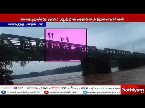 கரை புறண்டு ஓடும் ஆற்றில் பயம் அறியாது குதித்து நீச்சலடிக்கும் இளைஞர்கள்