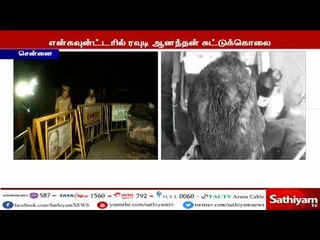 ரவுடி ஆனந்தன் எண்கவுன்டரில் சுட்டுக்கொல்லப்பட்ட வழக்கை விசாரிக்க மாஜிஸ்திரேட் சாண்டில்யன்