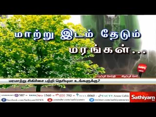 下载视频: மாற்று இடம் தேடும் மரங்கள் – சத்தியம் சிறப்புச் செய்தி