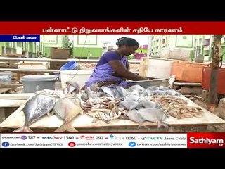 “டல்” அடிக்கும் மீன் வியாபாரம்   பன்னாட்டு நிறுவனங்களின் சதி   மீனவர்கள் குற்றச்சாட்டு