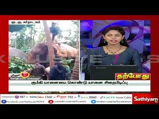 கும்கியிடம் சிக்கிய காட்டு யானை