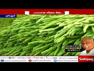 அரியலூரில் முருங்கைக்காய் விலை குறைந்ததால் விவசாயிகள் கவலை