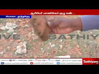 தூத்துக்குடி - சிவகளை கிராமத்தில் ஆதி மனிதன் வாழ்ந்தற்கான பல ஆதாரங்கள் கண்டுபிடிப்பு