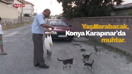 Kediler muhtarın yolunu gözlüyor