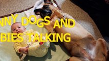 Funny dogs and babies talking Cute dog & baby compilation