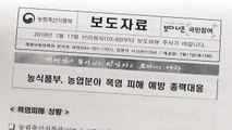 폭염에 가축 79만 마리 폐사...42억 원 피해 / YTN