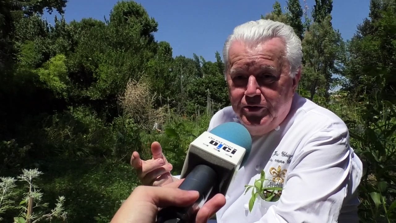 Alpes-de-Haute-Provence :  l'absinthe, une plante présente en cuisine