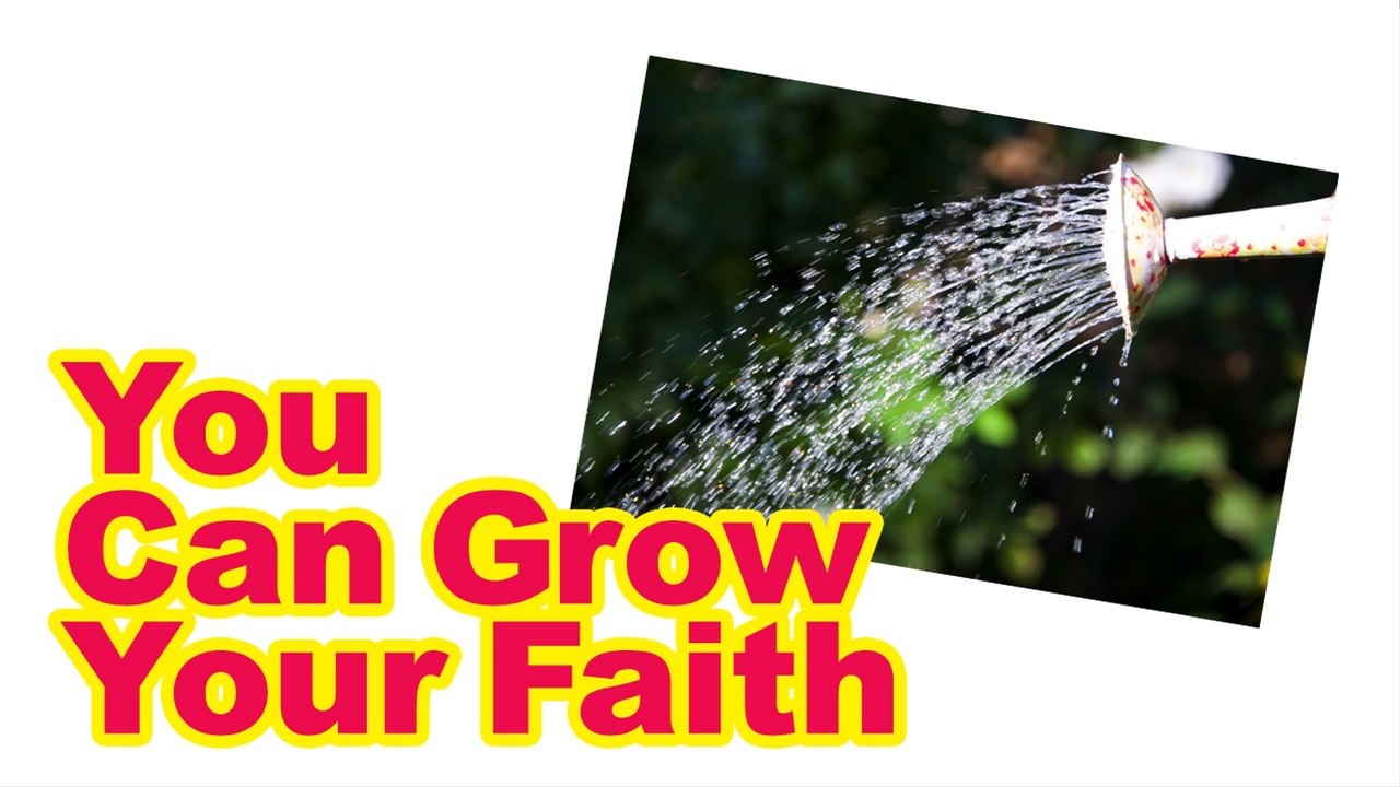 You Can Grow Your Faith