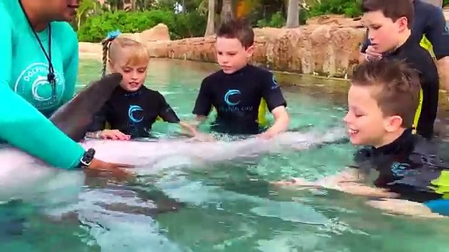 We Play with Dolphins on a Tropical Island! Kids Fun TV 