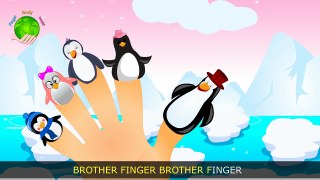Penguin Finger Family | Family Finger Nursery Rhymes For Kids