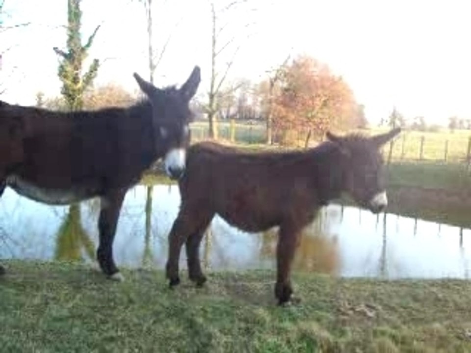 Tina le 15-12-2007 001