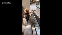This dog is definitely not a fan of escalators