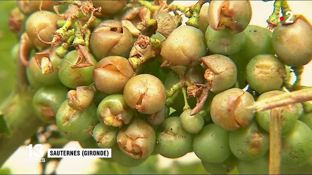 Intempéries : de violents orages et de la grêle dans une partie de la France