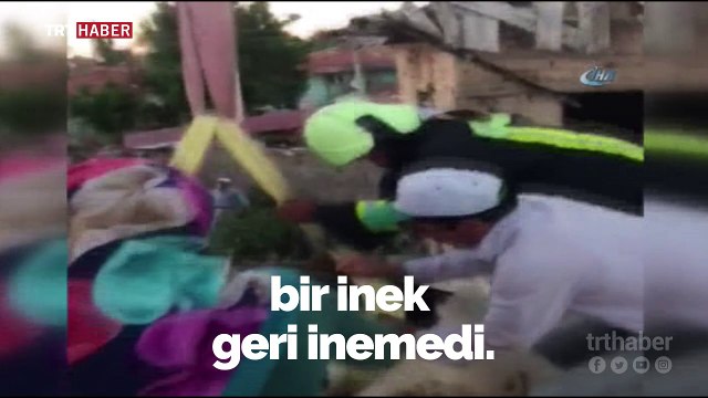 Çatıda mahsur kalan ineği itfaiye ekipleri kurtardı