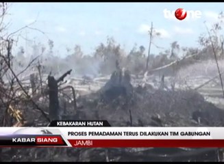 Kebakaran Hutan Gambut di Jambi Mencapai 33 Hektar