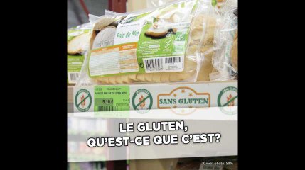 Le gluten, qu'est-ce que c'est?