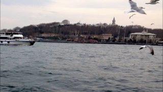 Seagulls of Bosphorus and the Topkapi Palace in the background