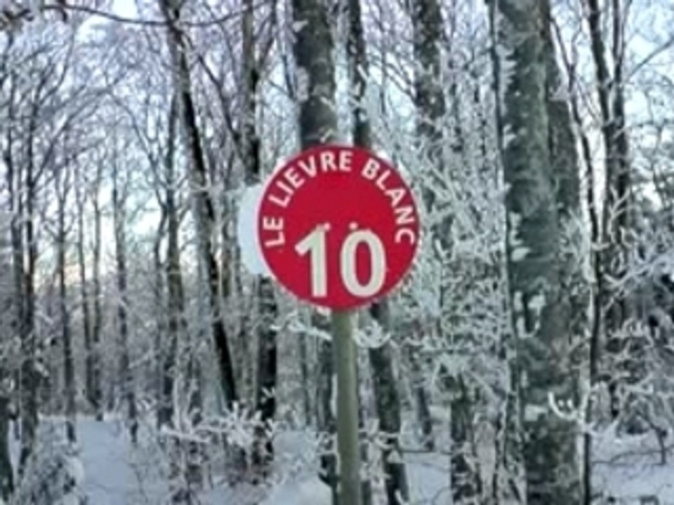 Ski Font d'Urle Piste rouge Le lièvre blanc