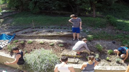 Orto X Orto - TimeLaps