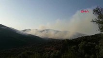 İzmir Bayındır'da Ormanı Yangını