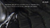 El Royal Ballet busca nuevos públicos con una revisión de ‘El lago de los cisnes’