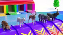 Learn Colors with animals play slide pool - Learn animals name and sounds (1)