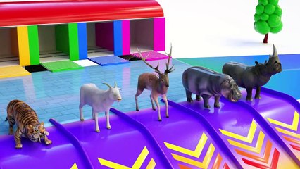 Learn Colors with animals play slide pool - Learn animals name and sounds (1)
