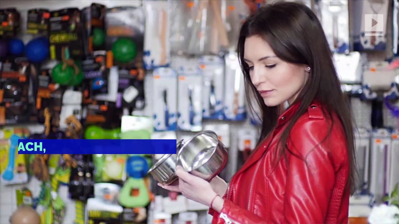 Petco Launches Cashierless PetCoach Store video Dailymotion