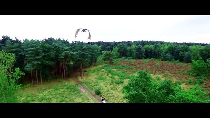 Knights Of The Damned | Trailer