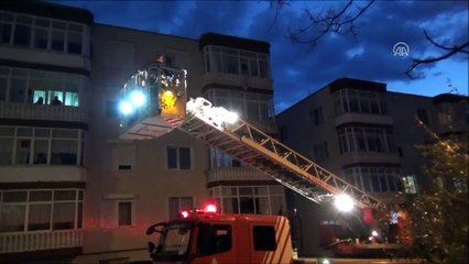 Silivri'de ağaca asılı kalan karga kurtarıldı  - İSTANBUL