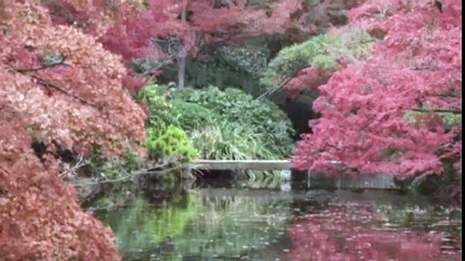 I Promise You Anarchy  2015   Te prometo anarquia     Part 03