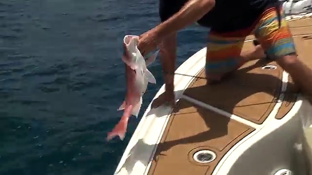 OFFSHORE Fishing Seadek